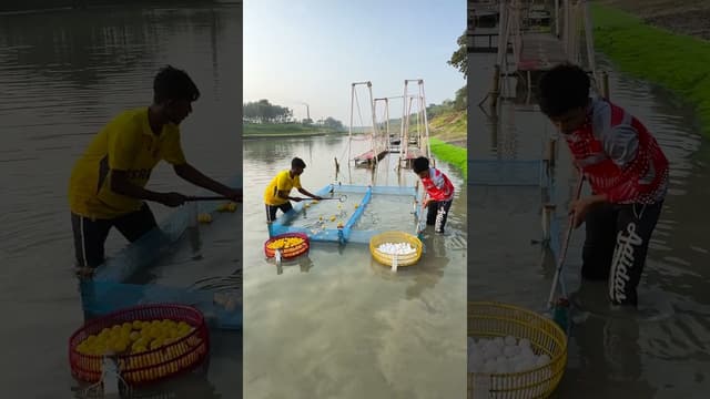breaking barriers to victory ! don’t miss this thrilling water challenge